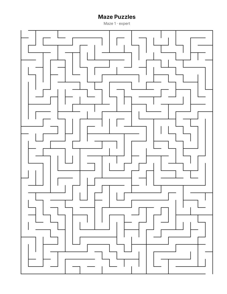 Maze puzzle, real output
